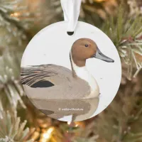 Reflections of a Northern Pintail Duck Ornament