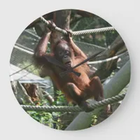 Baby Orangutan - Hang in there Large Clock