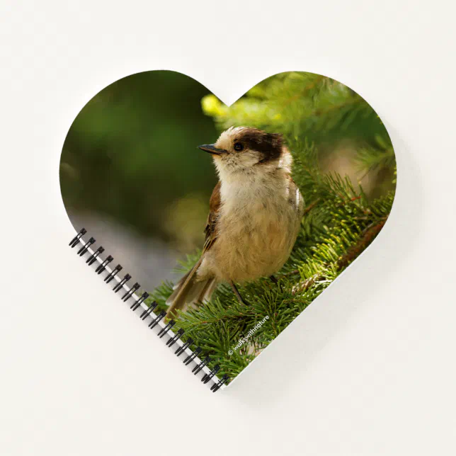 Profile of a Cute Grey Jay / Whiskeyjack Notebook