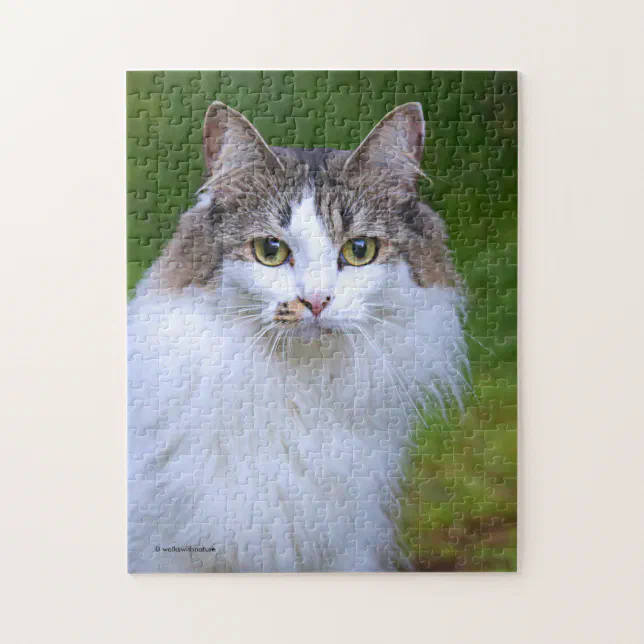 Cute Visiting Long-Haired Calico Cat in the Garden Jigsaw Puzzle