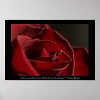 Life is the Flower - Red Rose Poster