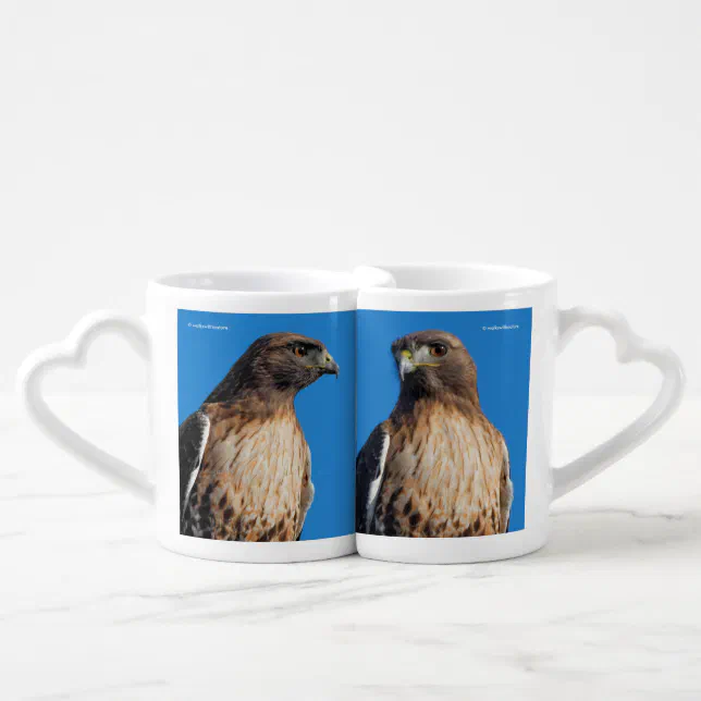 Magnificent Red-Tailed Hawk in the Sun Coffee Mug Set