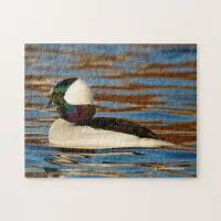 Male Bufflehead in the Afternoon Sun Jigsaw Puzzle
