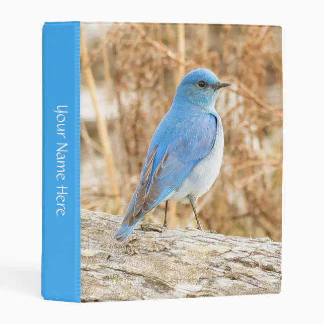 Beautiful Mountain Bluebird on Beach Driftwood Mini Binder