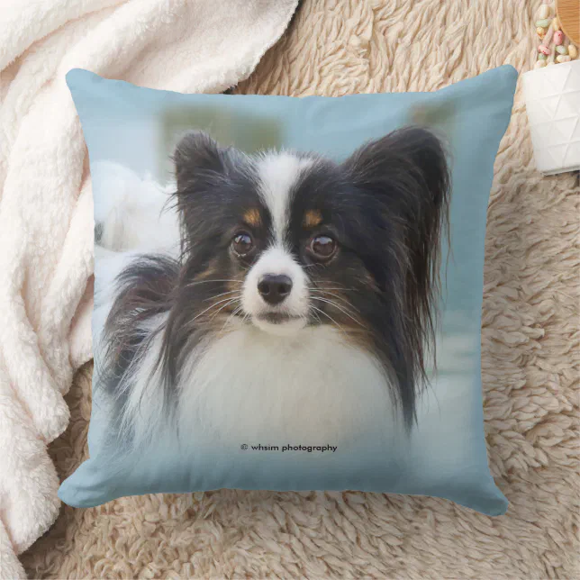 Cute Papillon Toy Spaniel Dog at the Dock Throw Pillow