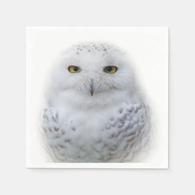 Beautiful, Dreamy and Serene Snowy Owl Napkins