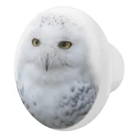 Beautiful, Dreamy and Serene Snowy Owl Ceramic Knob