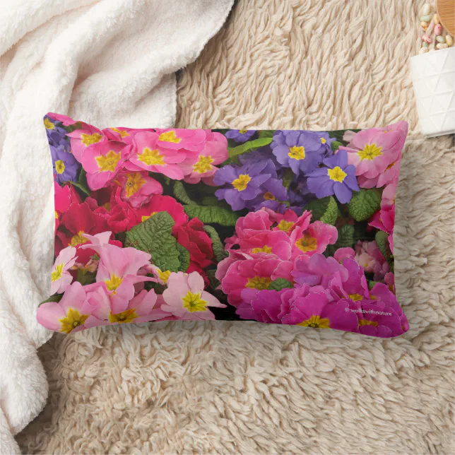 Colorful Medley Pink Blue Purple Primula Flowers Lumbar Pillow