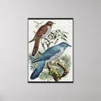 Two Colored Cuckoo Birds in Textured Canvas Print