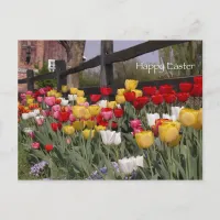 Tulip Garden Happy Easter Holiday Postcard