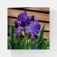 Pretty Purple Iris Floral Paperweight