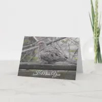 I Miss You | Single Dove Perches on Deck Card