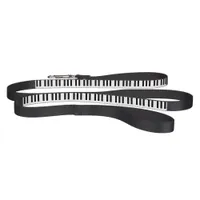 Piano Keys Music Keyboard Musical Instrument Dog Pet Leash