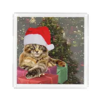 Maine Coon Cat Santa & Gifts Christmas Tree Behind Acrylic Tray