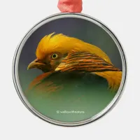 Emerging from the Green: Golden Pheasant Metal Ornament