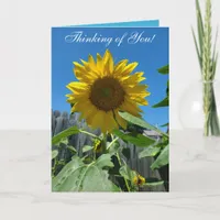 Thinking of You Sunflower Photography Card