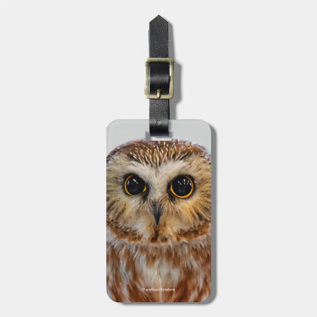 Cute Northern Saw Whet Owl Luggage Tag