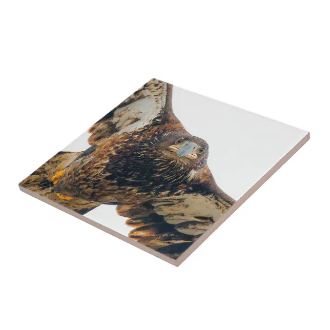 Stunning Bald Eagle Does a Flyover Ceramic Tile