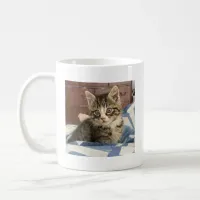 Add your Favorite Kitty Cat Photo Coffee Mug