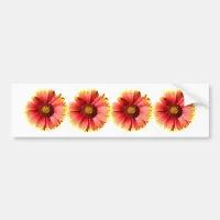 Just Blanket Flowers | Floral Photo