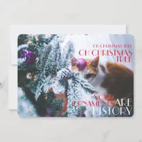 Oh Christmas Tree Your Ornaments Are History Cat Holiday Card