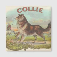 Vintage Collie Magnet