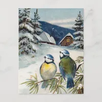 Vintage Winter Birds Postcard