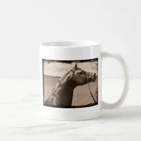 Sepia Arabian Stallion Coffee Mug