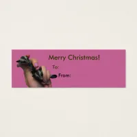 Baby Sugar Gliders Merry Christmas Tag