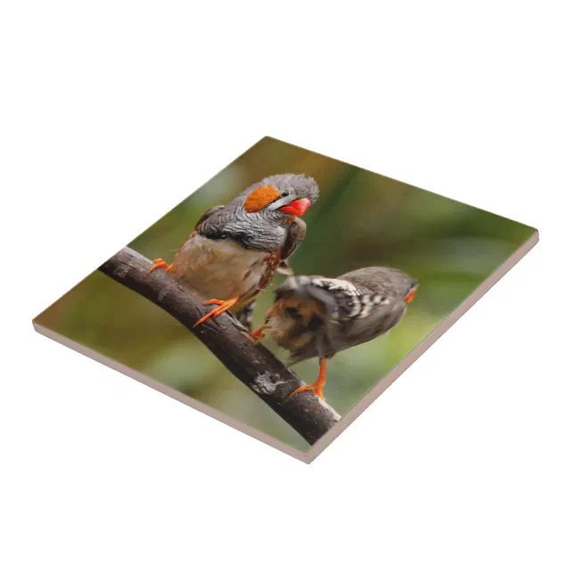 A Cheeky Pair of Zebra Finches Ceramic Tile