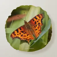 Beautiful Orange Satyr Comma Butterfly Round Pillow