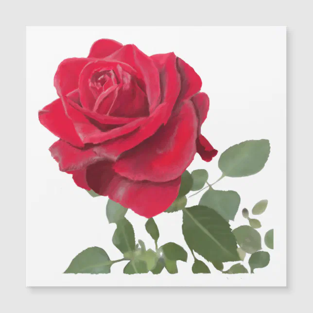 Red Painting Rose