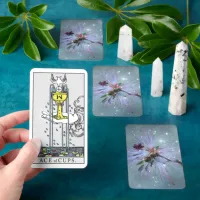 Sparkling Bee with Stars occult Tarot