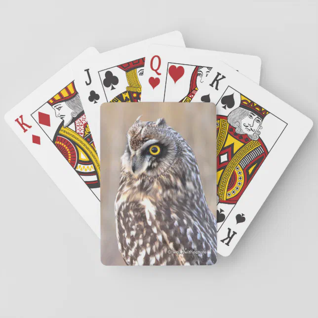 Stunning Portrait of a Short-Eared Owl Poker Cards