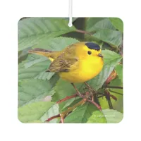 Beautiful Wilson's Warbler in the Cherry Tree Car Air Freshener