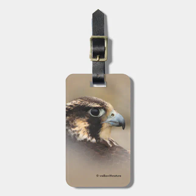 Vignetted Profile of a Peregrine Falcon Luggage Tag