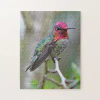 Stunning Male Anna's Hummingbird on the Plum Tree Jigsaw Puzzle