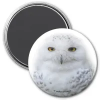 Beautiful, Dreamy and Serene Snowy Owl Magnet