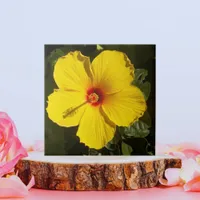 Yellow Hibiscus Flower Ceramic Tile