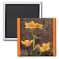 Wildflowers: Marsh Marigold Magnet