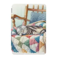 Sweet Gray Cat Sleeping on a Quilt iPad Mini Cover