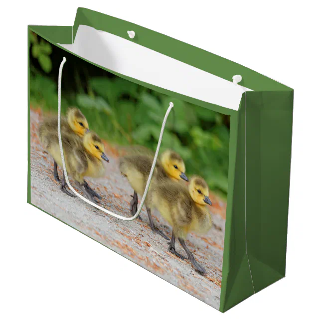 Cuteness on Parade: Canada Goose Goslings Large Gift Bag