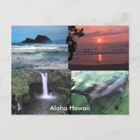 Hawaiian Collection Postcard