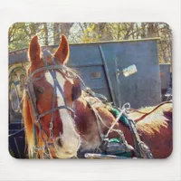 Chilly Morning Amish Horse Mouse Pad