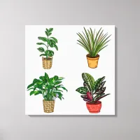 Hand drawn Houseplant Art Canvas Print