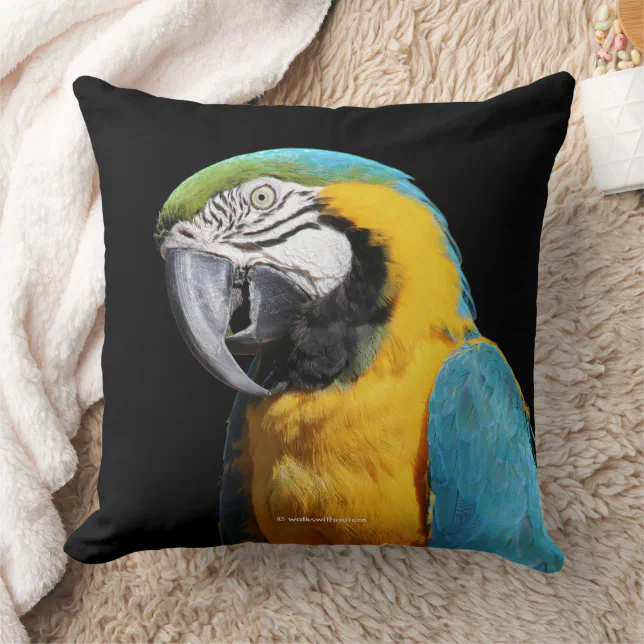 Beautiful Blue and Gold Macaw Parrot Bird Throw Pillow