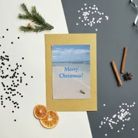 Isla Saona Caribbean Beach Merry Christmas! Holiday Card