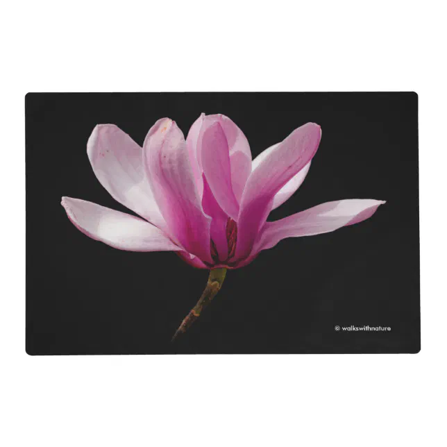 Beautiful Pink Saucer Magnolia Floral Blossom Placemat