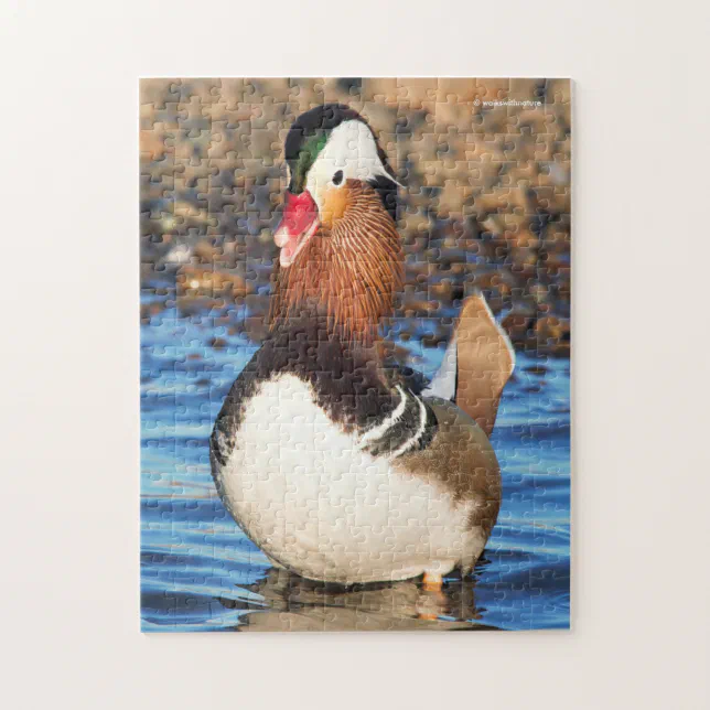 Beautiful Chatty Mandarin Duck on the Shore Jigsaw Puzzle