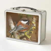 Cute Chestnut-Backed Chickadee Songbird Metal Lunch Box